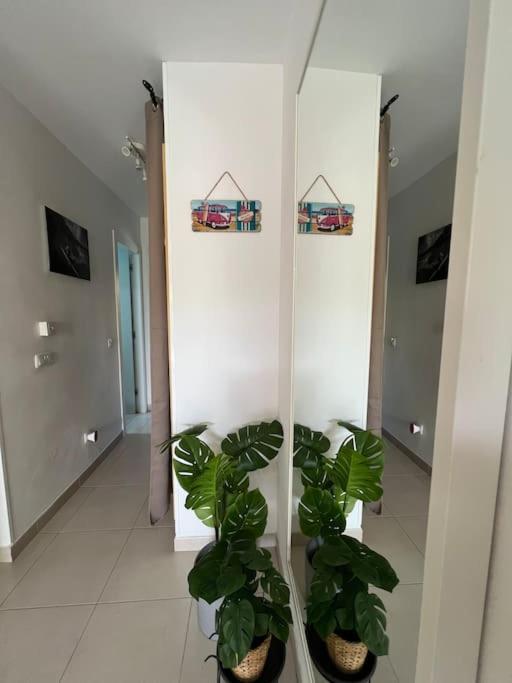 Corralejo Garden House Leilighet La Oliva Eksteriør bilde
